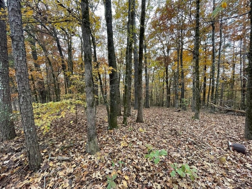 0 TBD County Road 435, Oxford, MS 38655 - photo 1