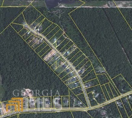 195 Chapman Ridge Rd, Macon, GA 31211 - photo 1