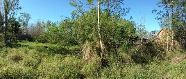 7011 D St, Mercedes, TX 78570 - photo 1