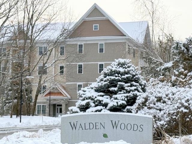 Welcome to Walden Woods