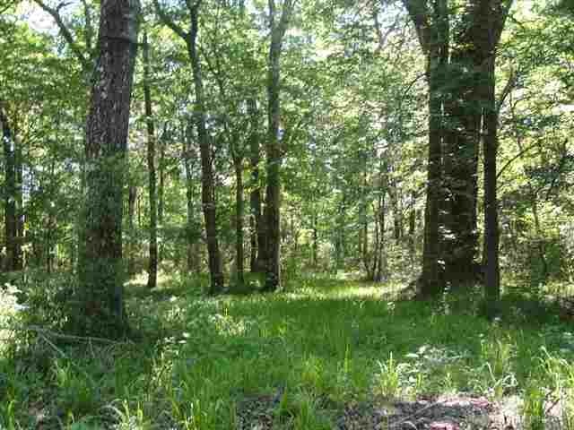 0 Governors Way unit 311407, Crawfordville, FL 32327 - photo 1