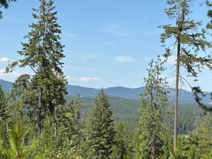 34711 N Waldrons Ln unit 49311.9012, Chattaroy, WA 99003 - photo 1