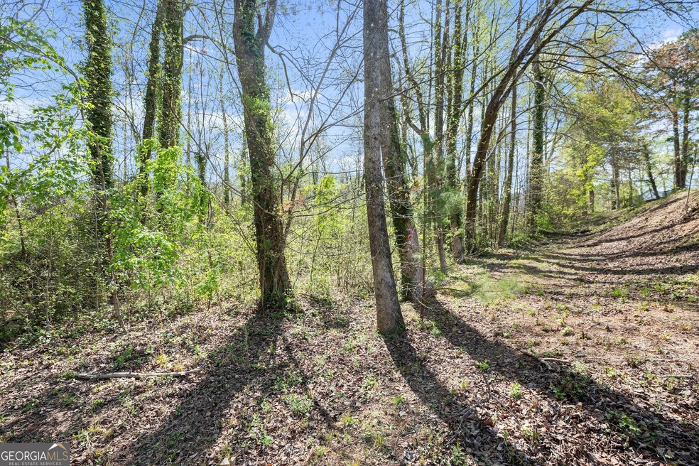 0 Yates St SW unit 10495154, Cornelia, GA 30531 - photo 1