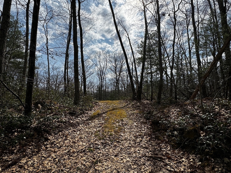 355 Leadmine Rd, Sturbridge, MA 01518 - photo 1