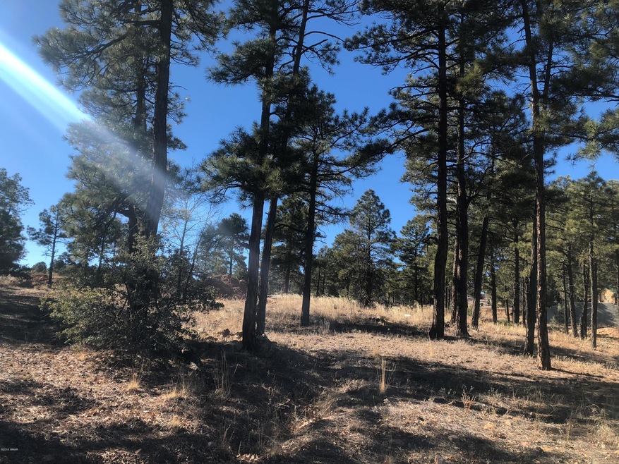 Tract D S White Mountain Rd, Show Low, AZ 85901 - photo 1
