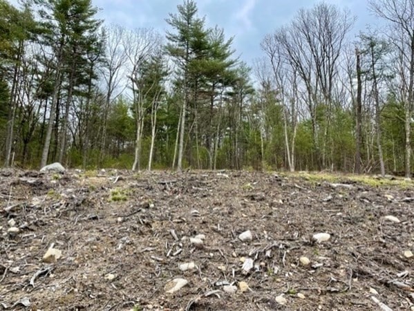 1214 Franklin Rd, Fitchburg, MA 01420 - photo 1