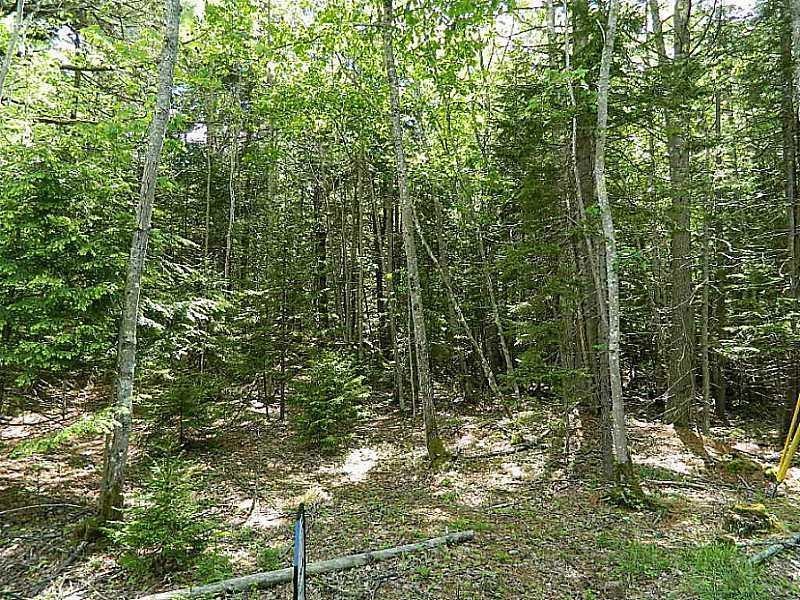 Lot 2 N End Rd, Georgetown, ME 04548 - photo 1