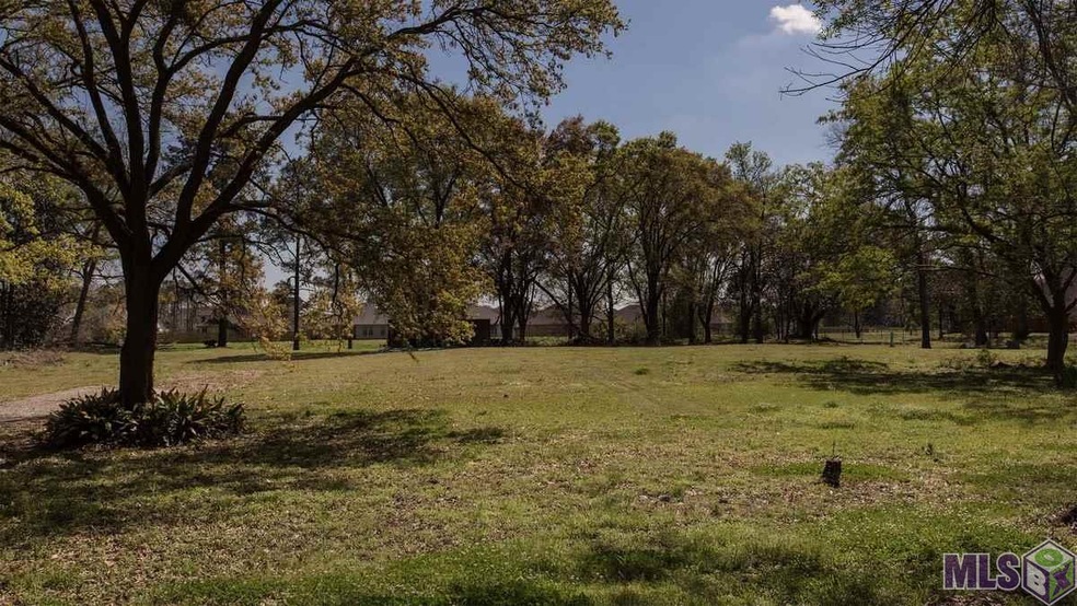 39423 Bon Terre Dr, Gonzales, LA 70737 - photo 1