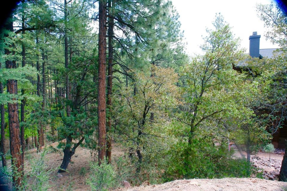 4557 N Serenity Cir unit 44, Pine, AZ 85544 - photo 1