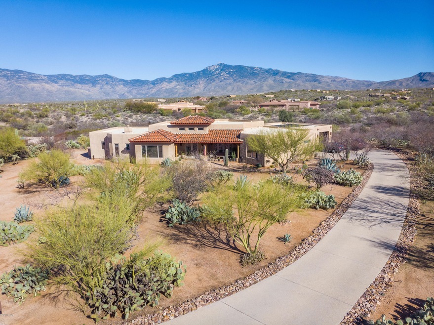 Driveway View