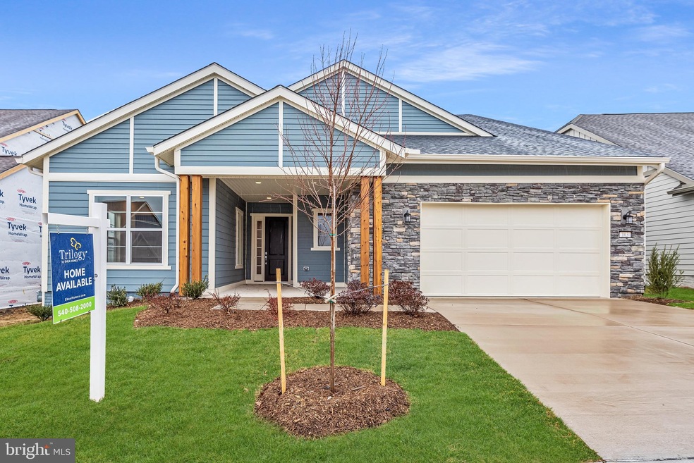 103 Barred Owl Way, Lake Frederick, VA 22630 - photo 1