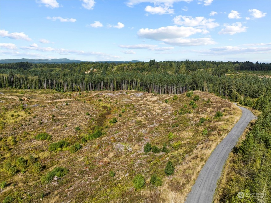 0 Salmon Creek Rd unit NWM2156058, Toledo, WA 98591 - photo 1