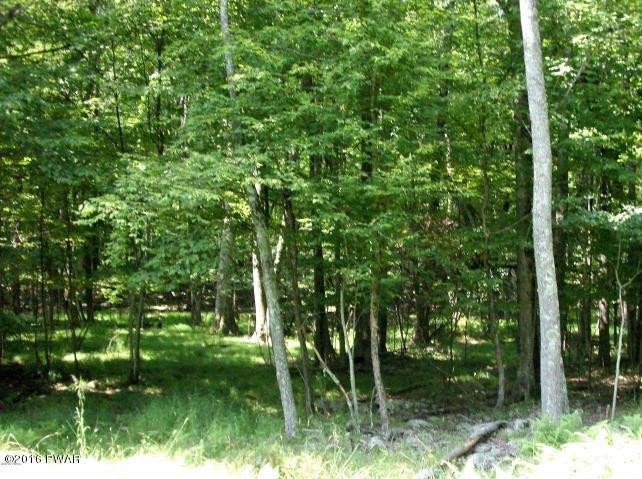 843 Tink Wig Dr, Lackawaxen Township, PA 18428 - photo 1