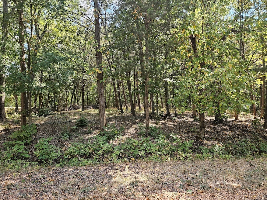 View of lot with trees