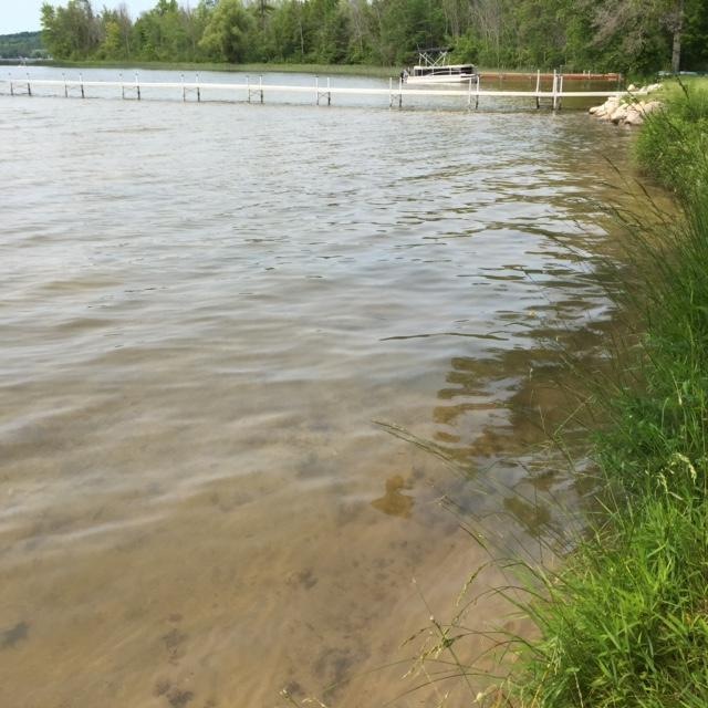 hard, sand bottom