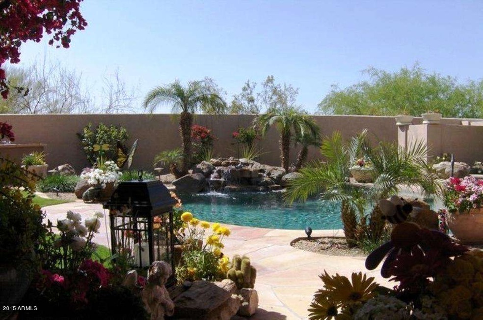 Backyard paradise