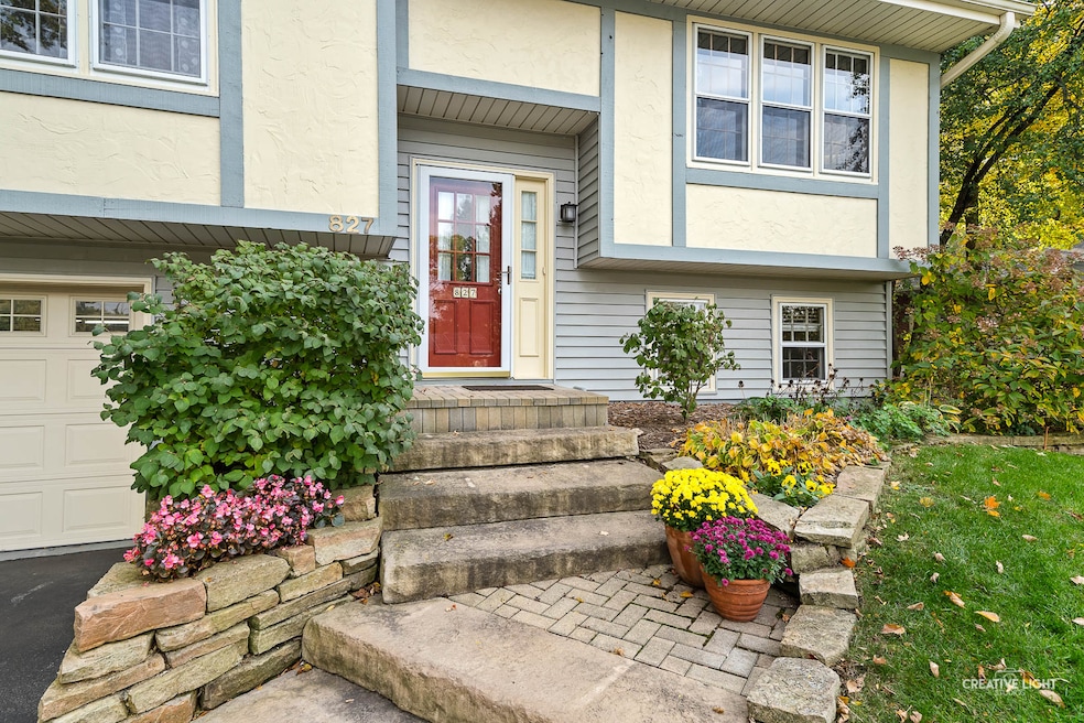 827 Greenwood Ct, Batavia, IL 60510 - photo 1