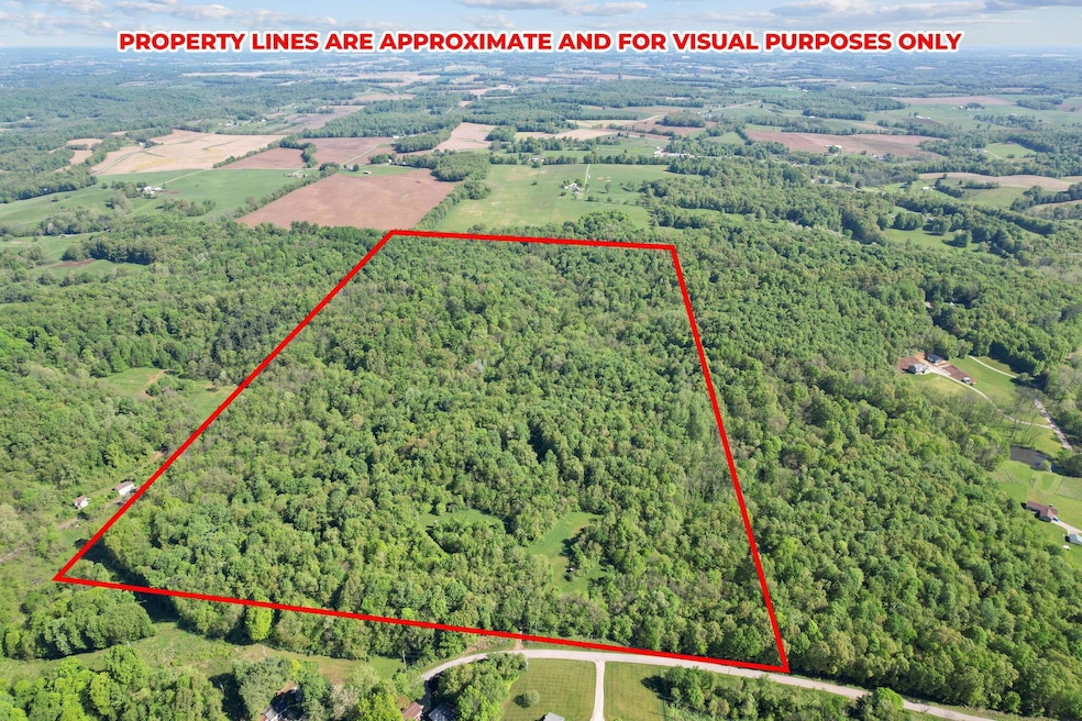 4-web-or-mls-DJI_0444 - Copy (2)