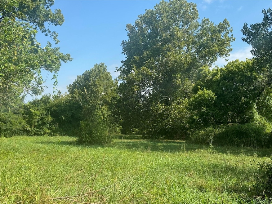View of local wilderness