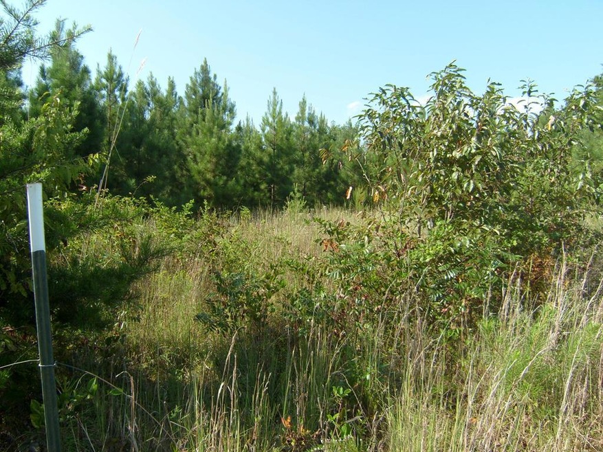 0 Strawberry Rd unit 59456, Chatham, VA 24531 - photo 1