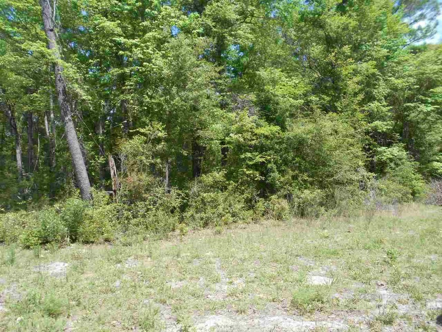 xxx Samuel Rd, Crawfordville, FL 32327 - photo 1