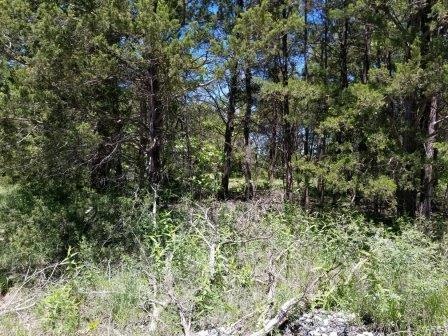 10 Watts Acres Rd, Robertsville, MO 63072 - photo 1