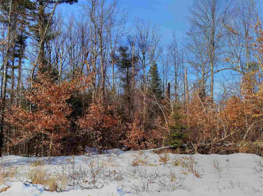 Winter Scene 1