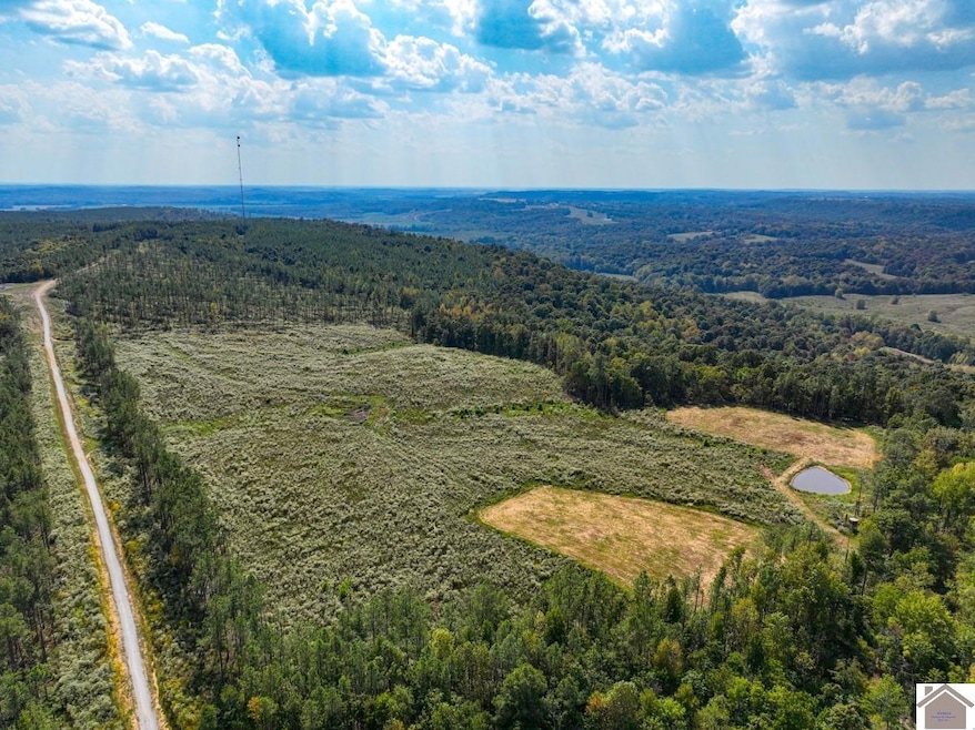 000 Cedar Grove Rd unit (Livingston Co. KY 9, Salem, KY 42078 - photo 1