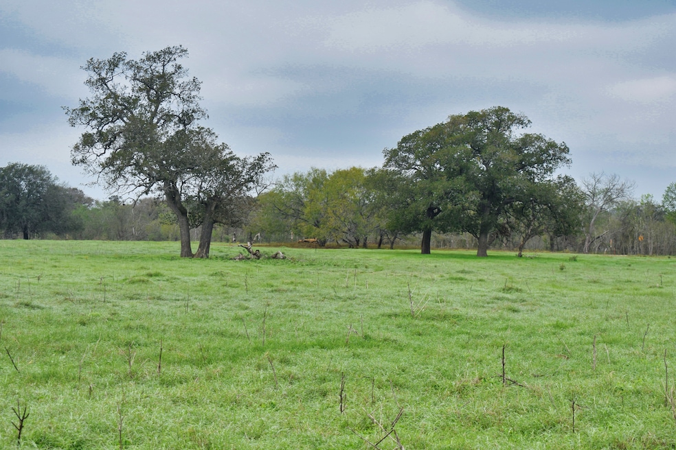 241 Hall Rd, Luling, TX 78648 - photo 1