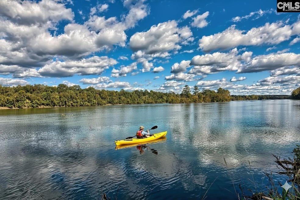 109 Broad Bluff Point, Irmo, SC 29063 - photo 1