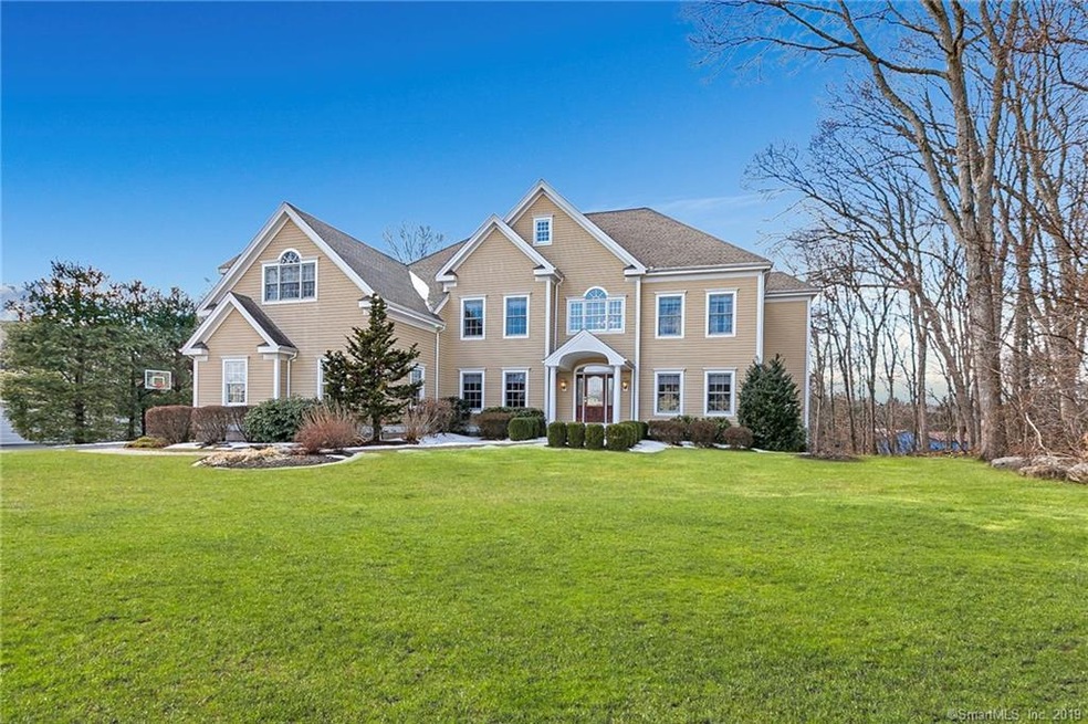 Gorgeous level yard.