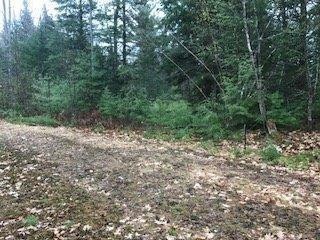 Lot 17B Pratt Rd, Parsonsfield, ME 04047 - photo 1