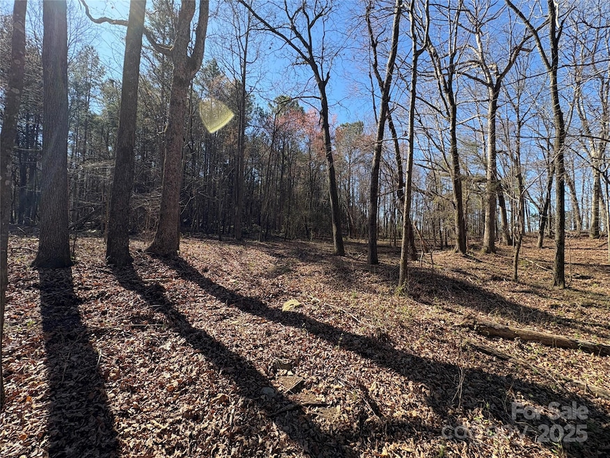 1417 Ellis Griffin Rd, Wingate, NC 28174 - photo 1