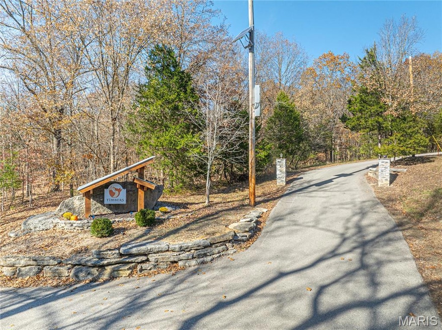 19005 Old Wild Turkey Ln, Wildwood, MO 63069 - photo 1