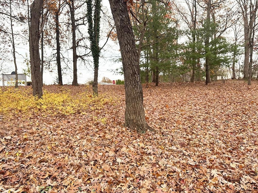 0 Ivy Woods Dr, Forest, VA 24551 - photo 1