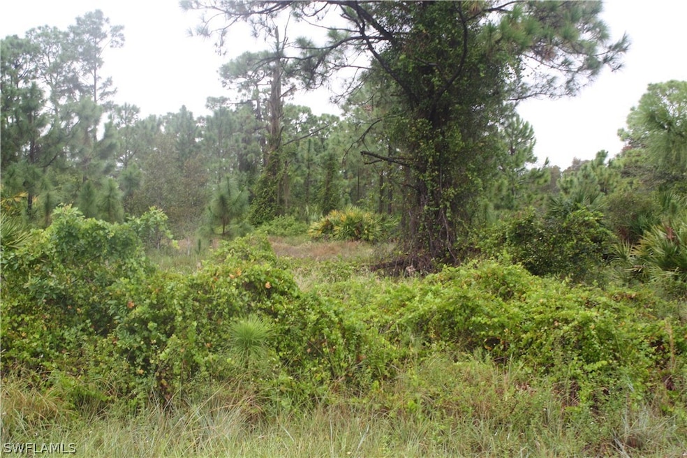 1260 Belfast Ave, Lehigh Acres, FL 33913 - photo 1