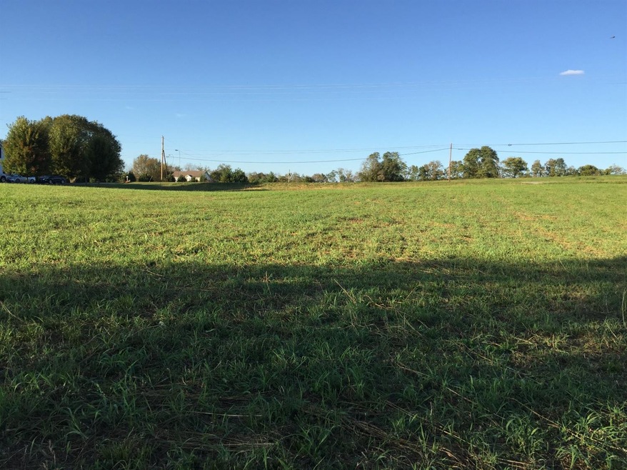 2350 Union Mill Rd, Nicholasville, KY 40356 - photo 1