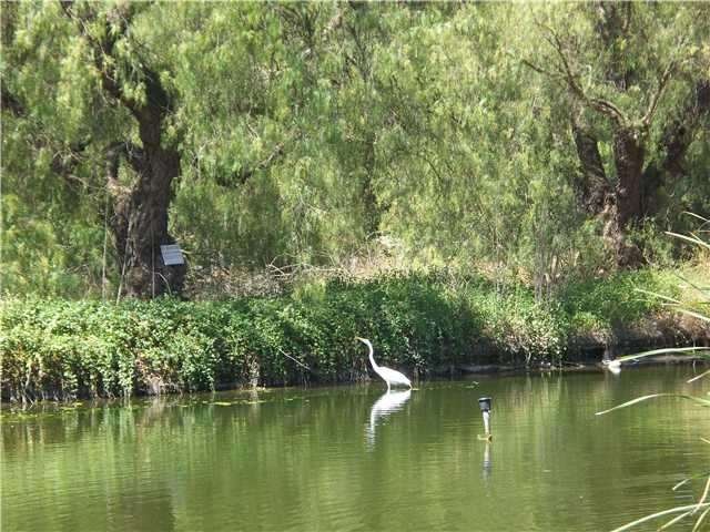 Beautiful view of the pond from the home