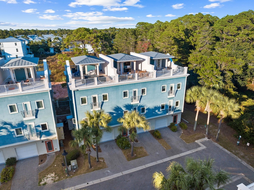 Coastal Grove