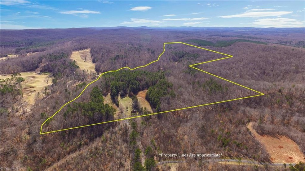 3567 Tot Hill Farm Rd, Asheboro, NC 27205 - photo 1