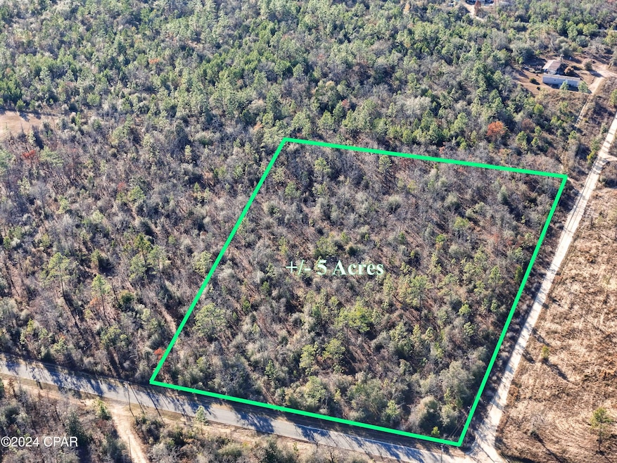 000 NW Apachee Rd, Fountain, FL 32438 - photo 1