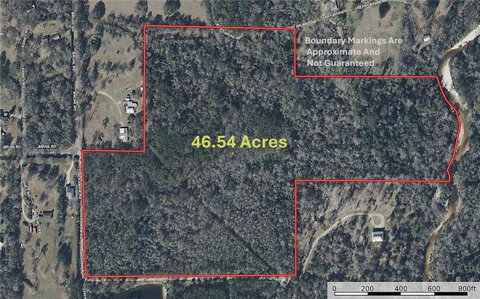 46.5 Acres Chickamaw Rd, Folsom, LA 70437 - photo 1