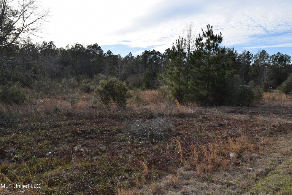 2 acre partially cleared lot