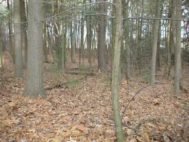 0 Long Hollow Rd, Enfield, CT 06082 - photo 1
