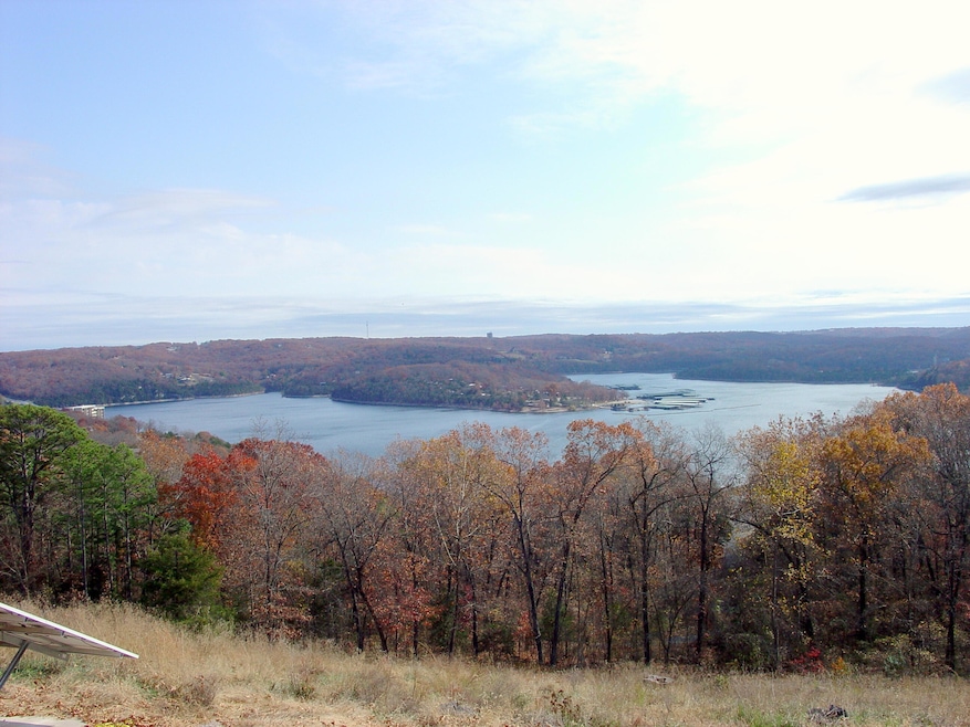 62 S Ridge Ln, Blue Eye, MO 65611 - photo 1