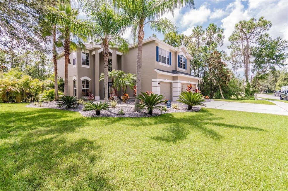 568 Lakewood Dr, Oldsmar, FL 34677 - photo 1