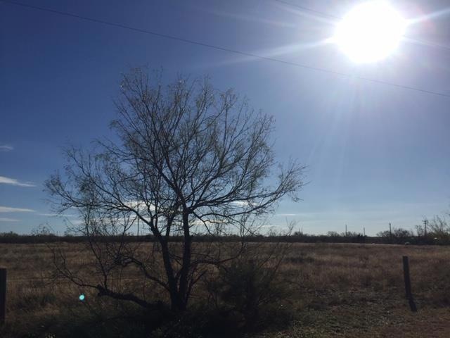 11002 Paisano Ln unit 1A, San Angelo, TX 76904 - photo 1