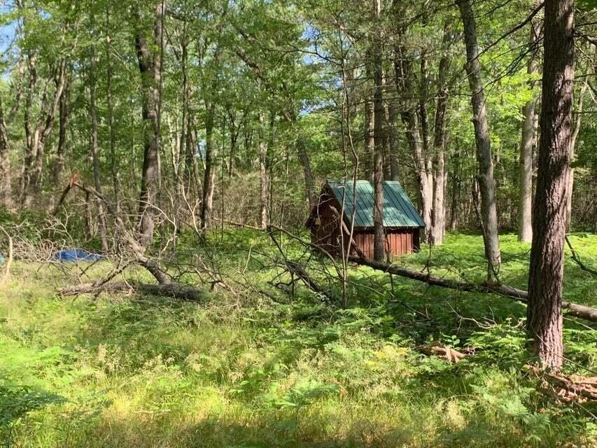 VL W 12 Mile Rd, Bitely, MI 49309 - photo 1