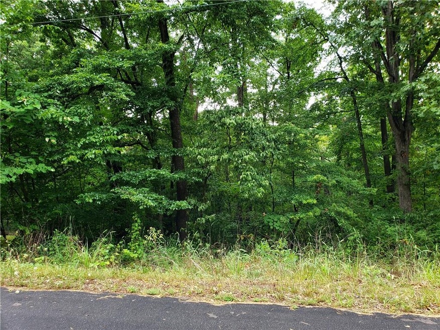 -- Heanor Ln, Bella Vista, AR 72714 - photo 1