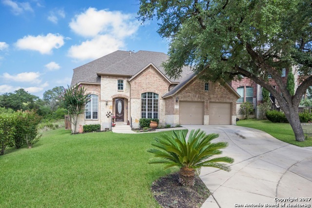 9110 Arroyo Hondo, Helotes, TX 78023 - photo 1